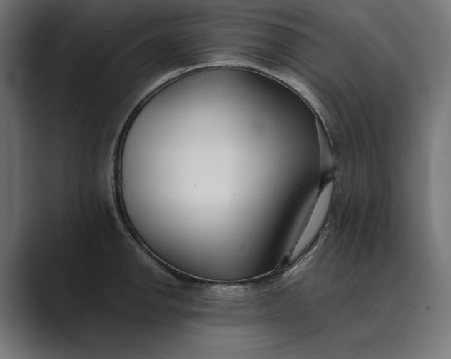 X0000089341142200706290956