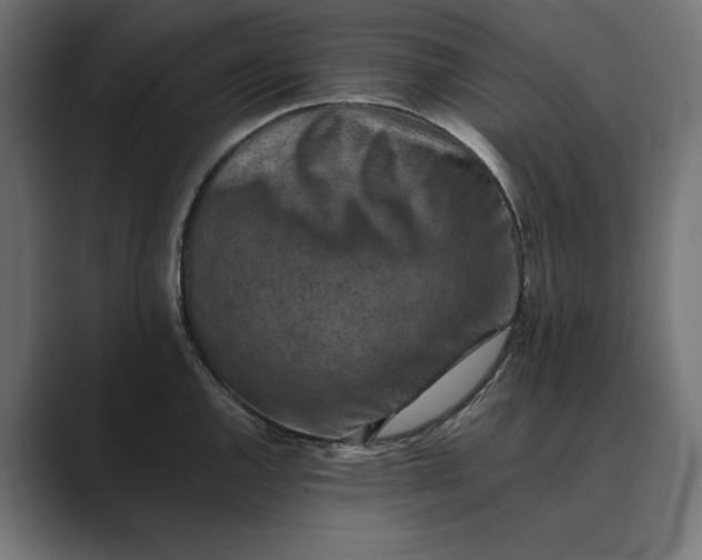 X0000089341144200706290956