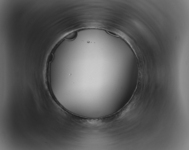 X0000089341147200706290956