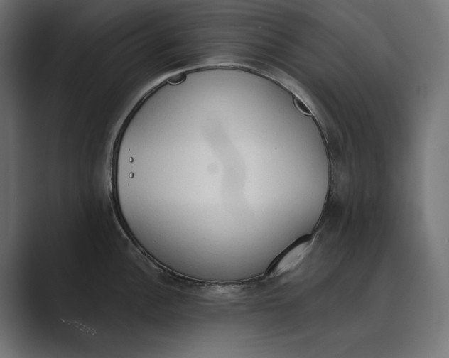 X0000089341148200706290956