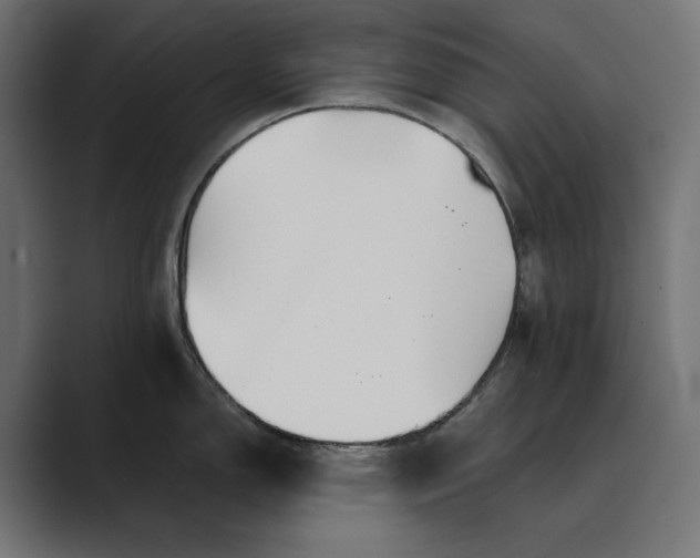 X0000089341150200706290956