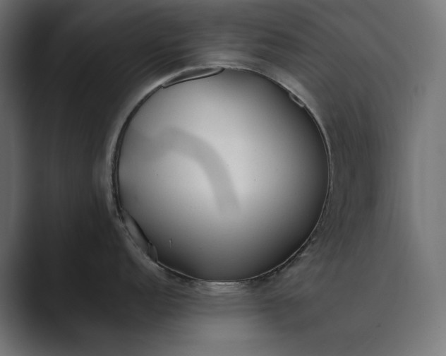 X0000089341152200706290956