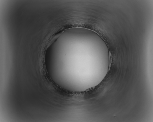 X0000089341153200706290955