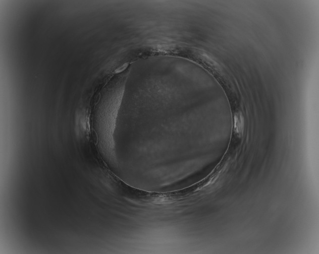 X0000089341155200706290955