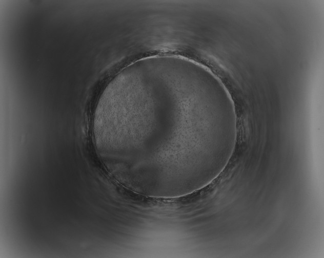 X0000089341158200706290955