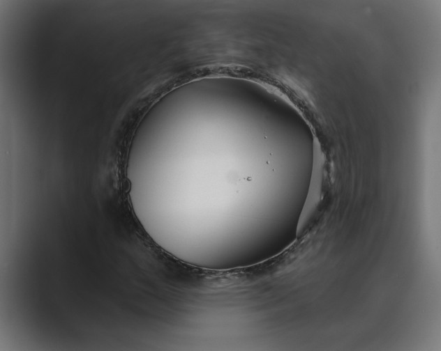 X0000089341159200706290955
