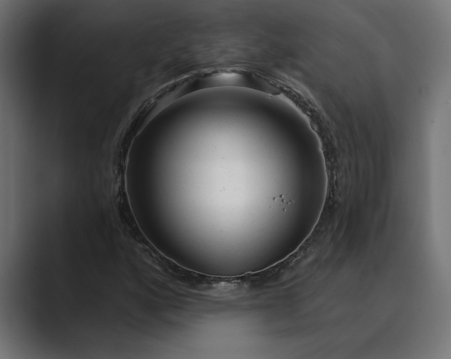 X0000089341160200706290955