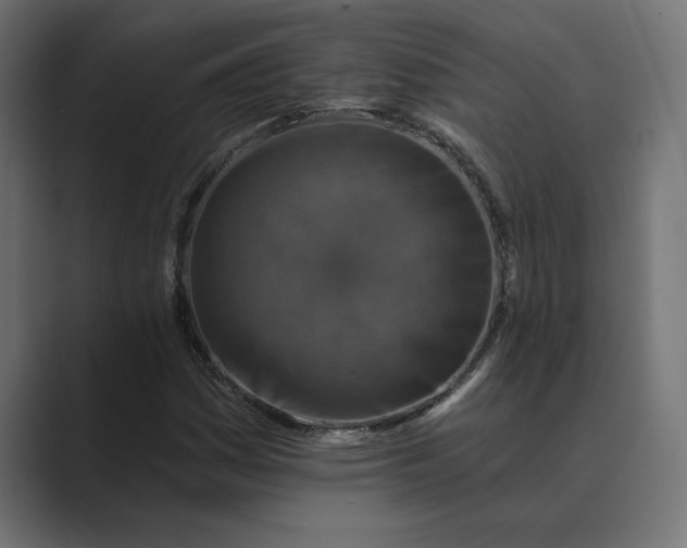 X0000089341161200706290955