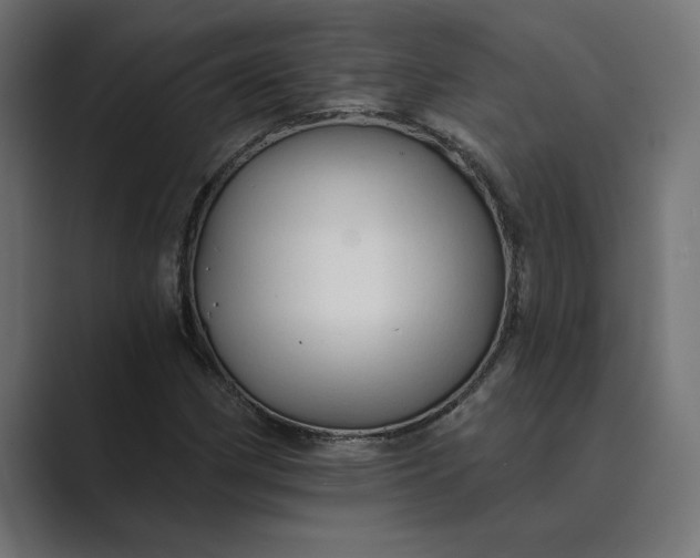 X0000089341162200706290955