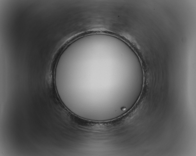 X0000089341167200706290955