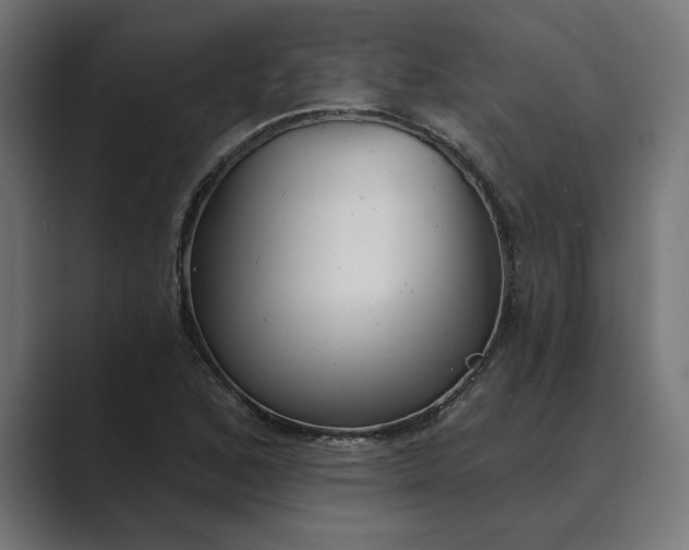X0000089341168200706290955