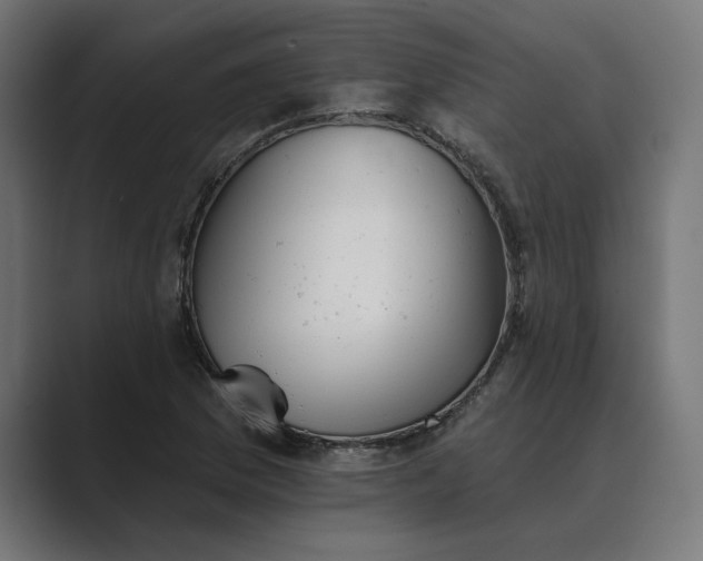 X0000089341169200706290955