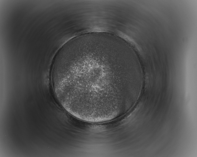 X0000089341170200706290955