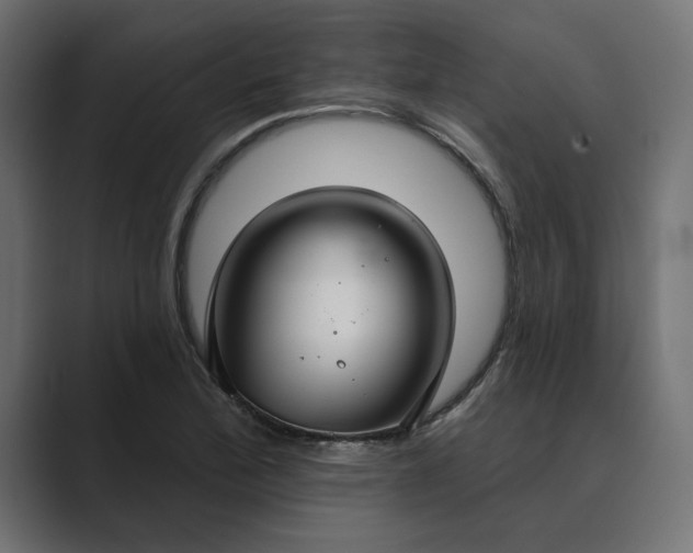 X0000089341172200706290955