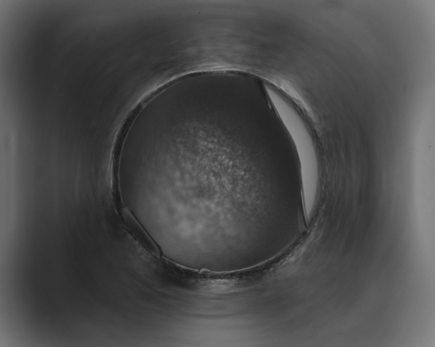 X0000089341173200706290955