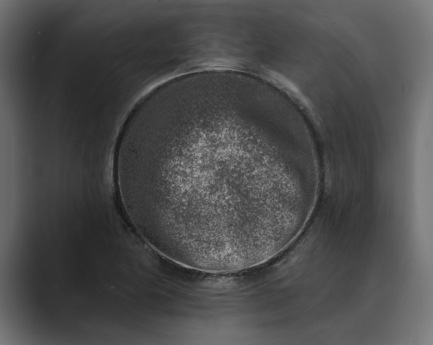 X0000089341174200706290955