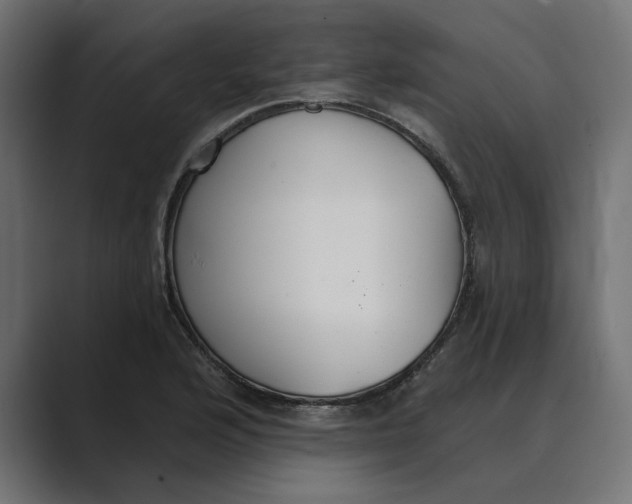 X0000089341176200706290955