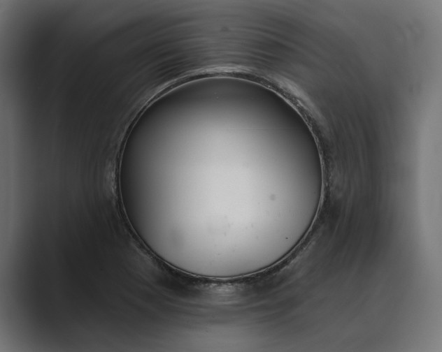 X0000089341177200706290955