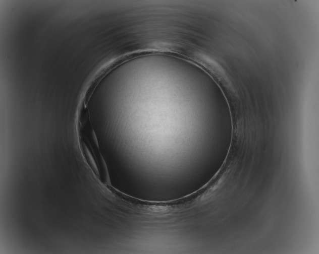 X0000089341180200706290955