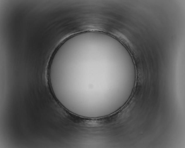 X0000089341182200706290955