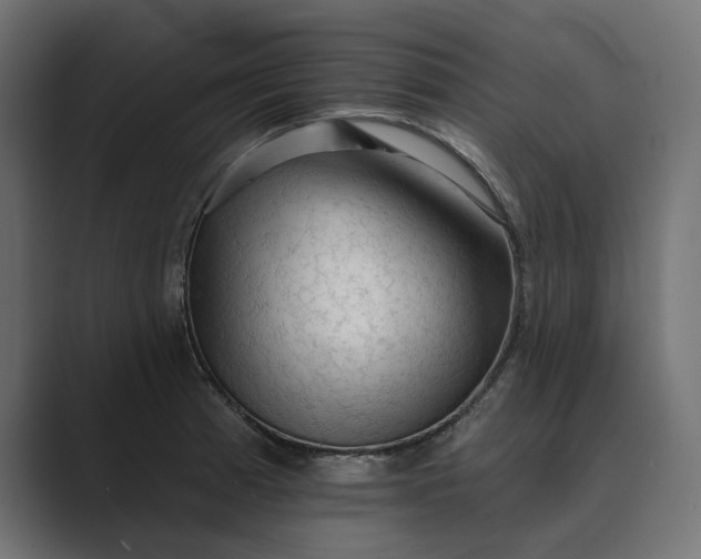 X0000089341185200706290955