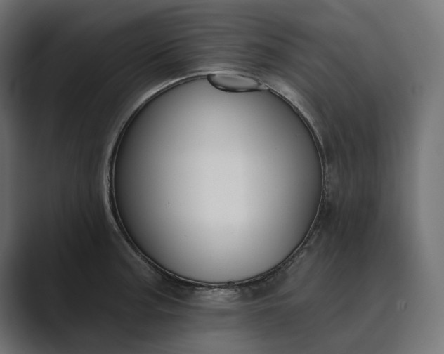 X0000089341187200706290955