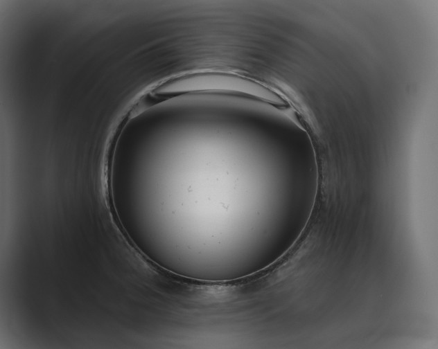 X0000089341188200706290955