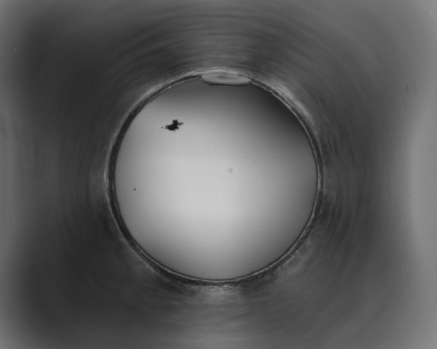 X0000089341189200706290955