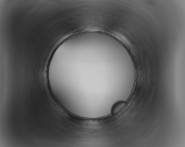 X0000089341190200706290955