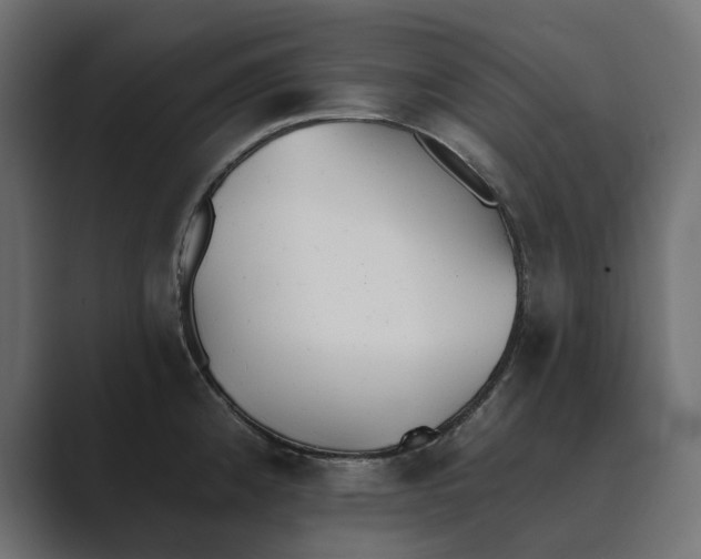 X0000089341192200706290955