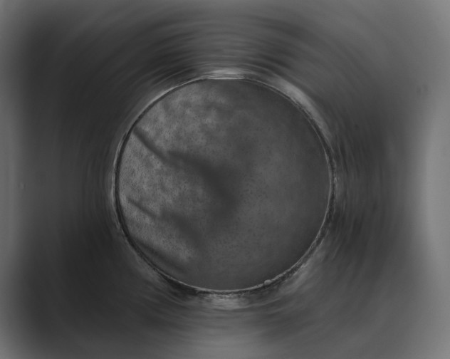 X0000089341194200706290955