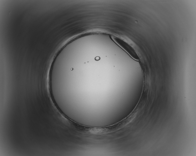 X0000089341199200706290955