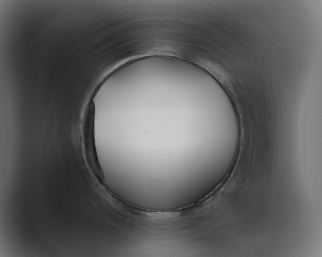 X0000089341200200706290955