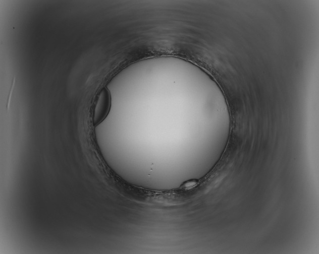 X0000089341201200706290954