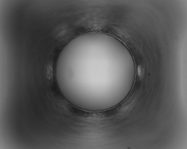 X0000089341203200706290954
