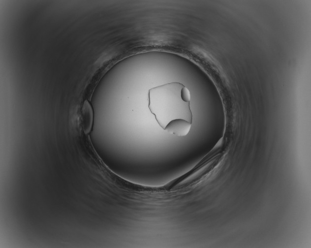 X0000089341210200706290954