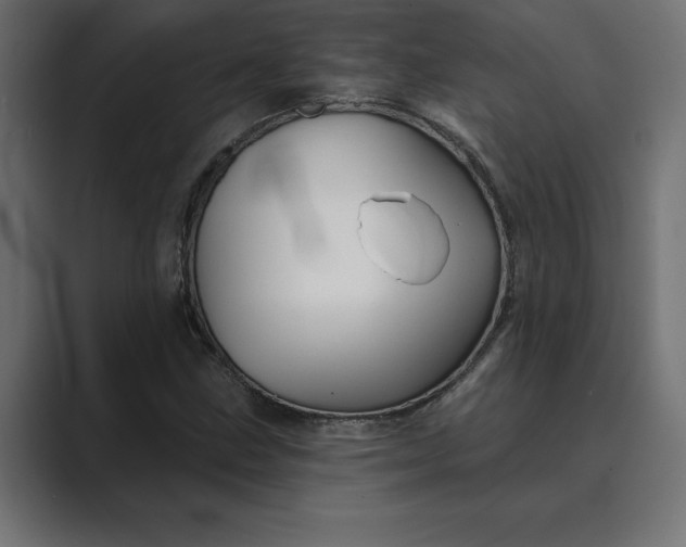 X0000089341211200706290954