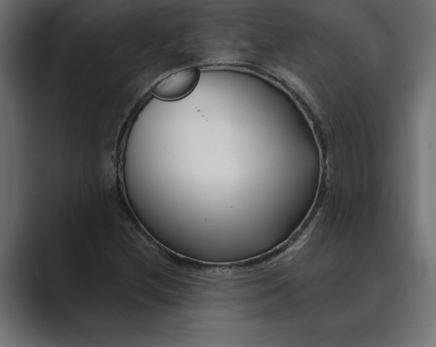 X0000089341212200706290954