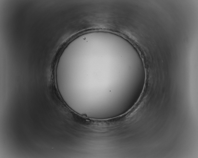 X0000089341215200706290954