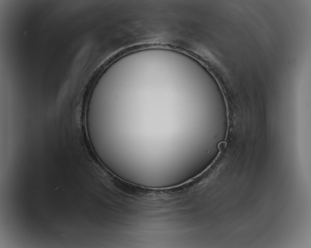X0000089341216200706290954