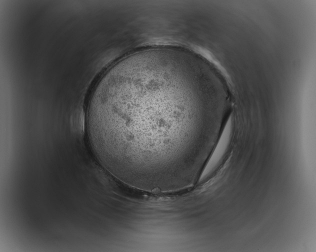 X0000089341221200706290955