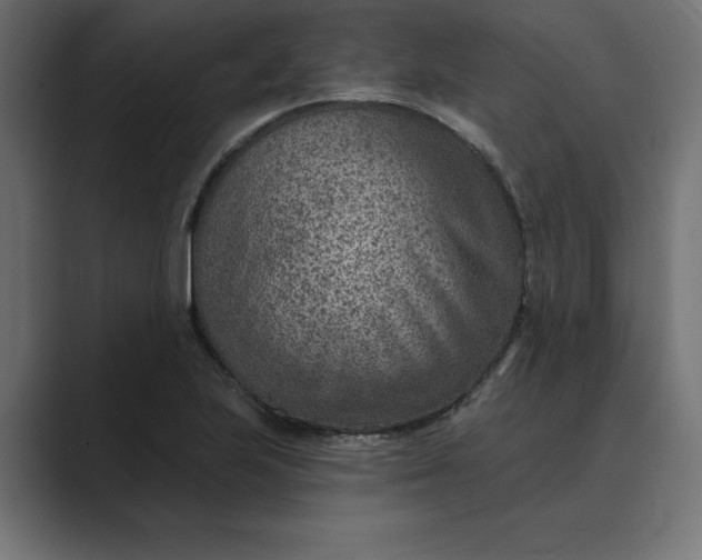 X0000089341223200706290955