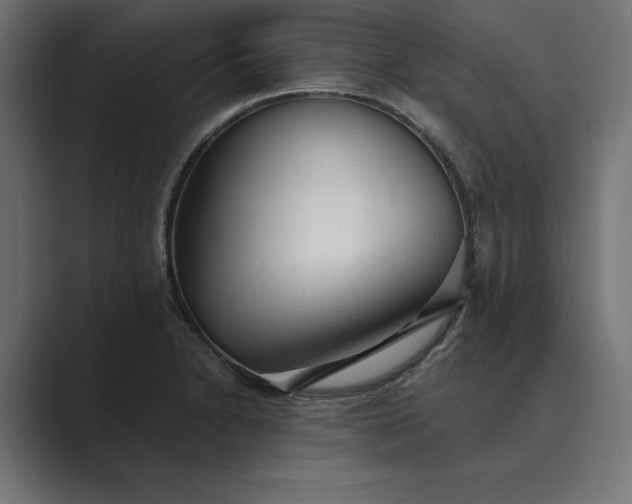 X0000089341230200706290955