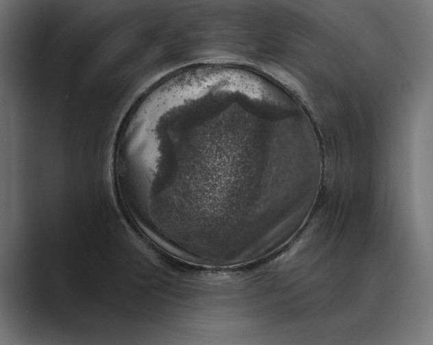 X0000089341231200706290955
