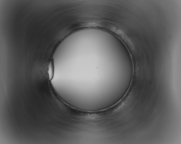 X0000089341233200706290955