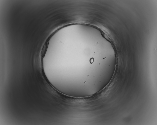 X0000089341238200706290955