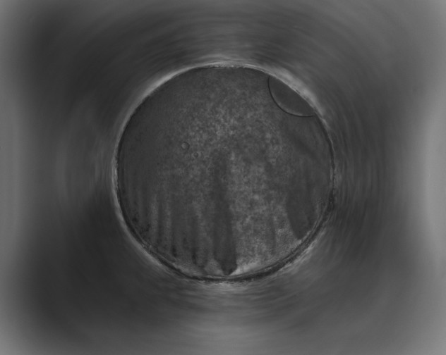X0000089341239200706290955