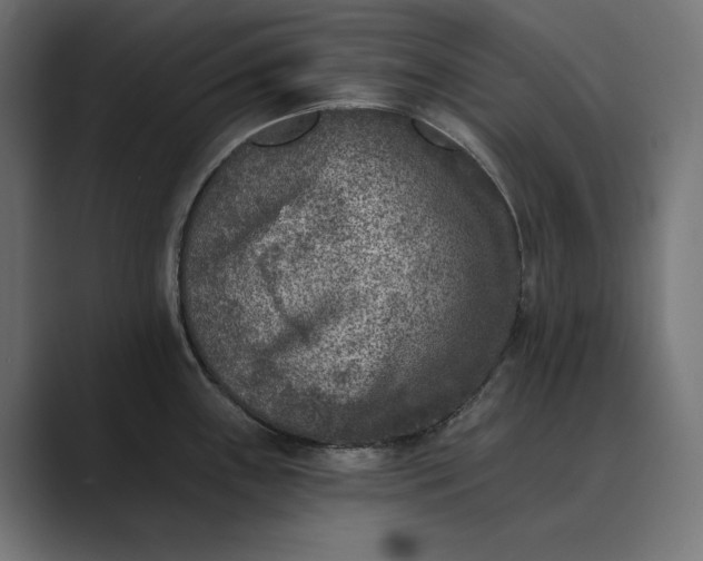 X0000089341243200706290955