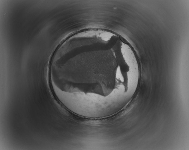 X0000089341245200706290955