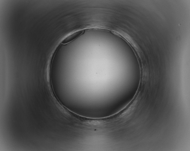 X0000089341246200706290955